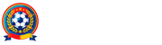 蜘蛛直播